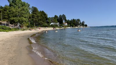 Midsommar, Walderdbeeren und die Suche nach dem Ostseestrand